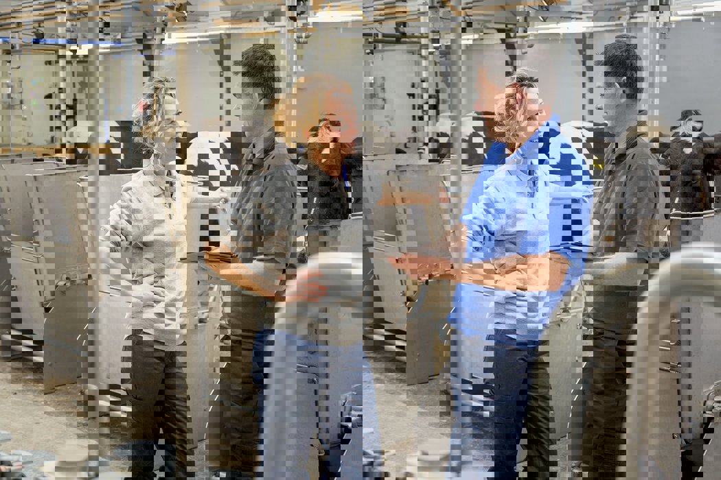 discussing about the feed production plan