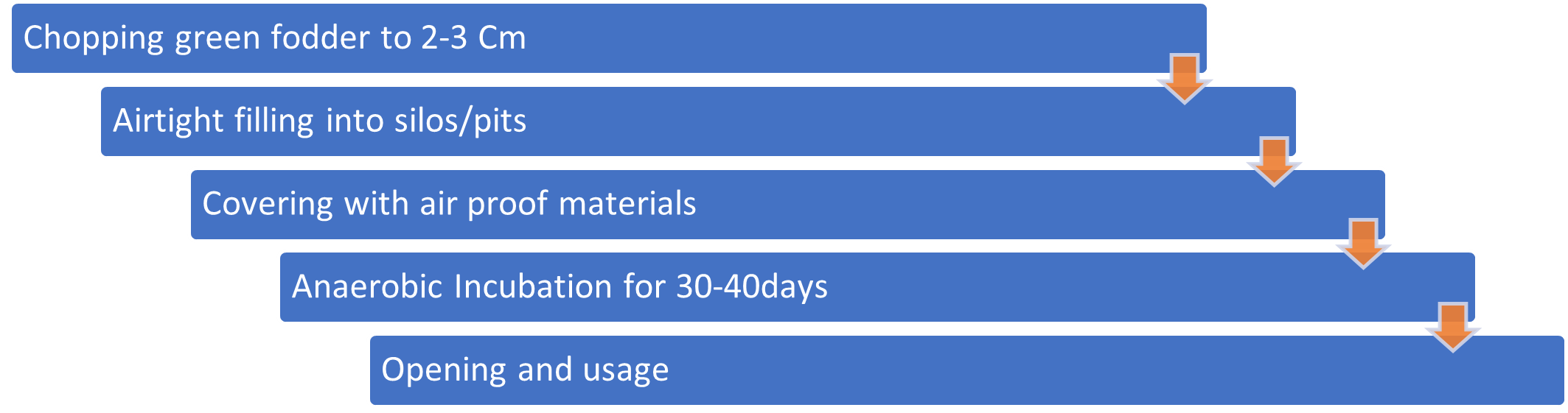 Silage preparation process: