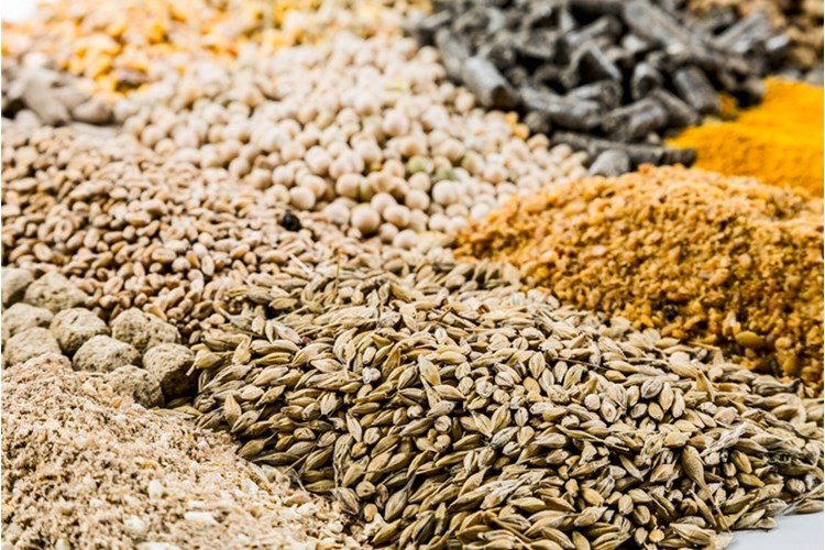 balanced mix of feed ingredients for good animal health