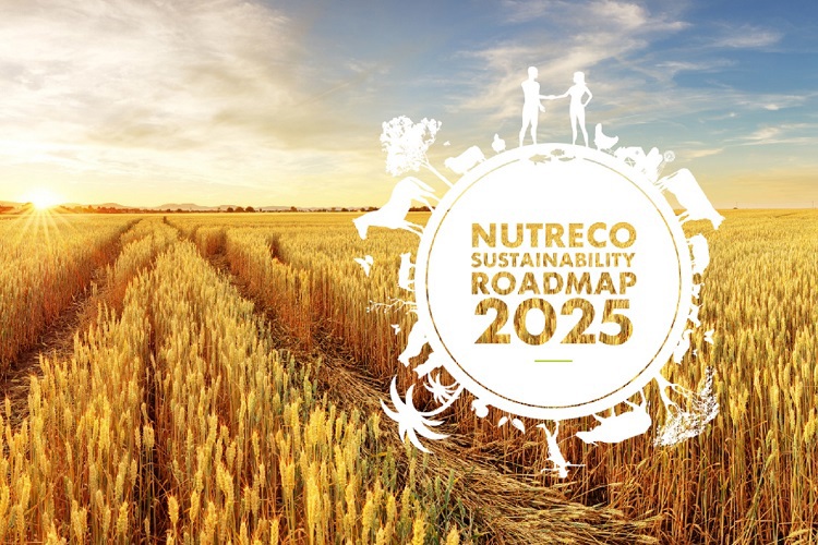 Sustainability roadmap