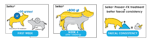 Selko Presan-FX was tested in weaning pigs