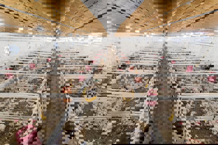 Poultry Resaerch center