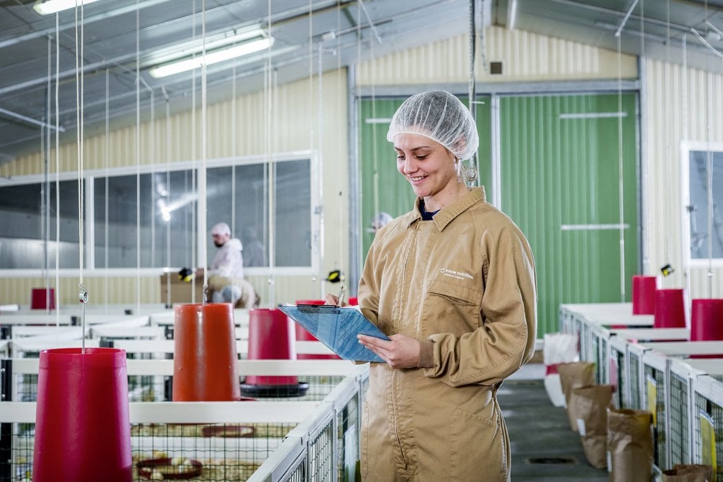 a woman monitoring the feed environment