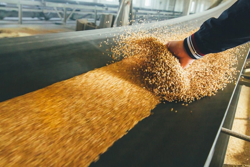 animal feed production 