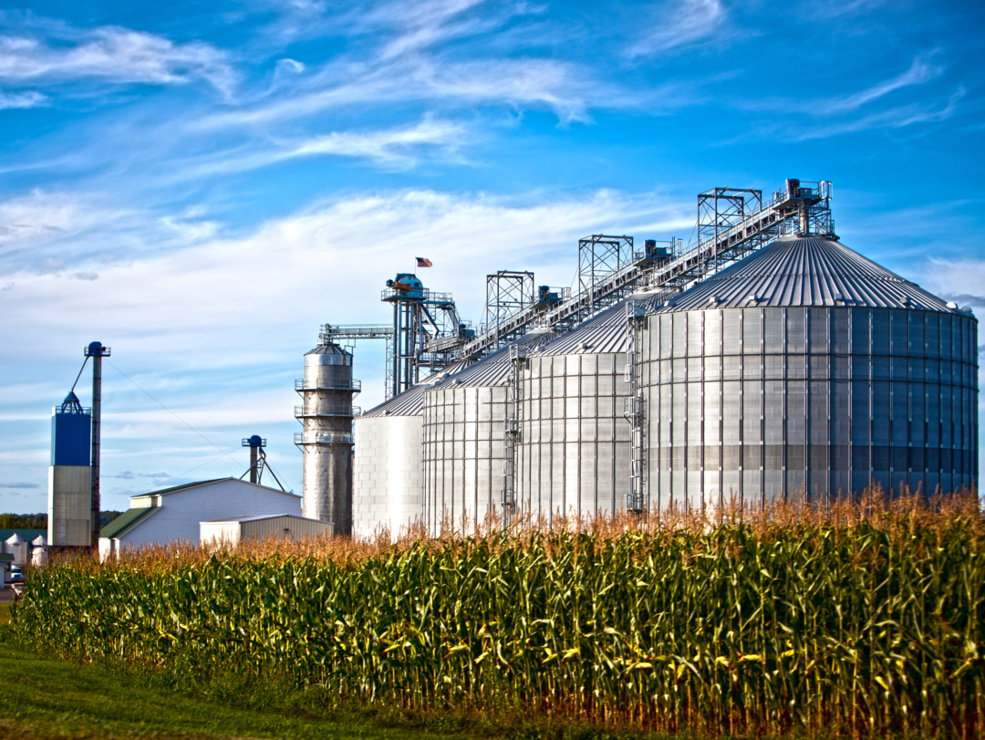 Feed Additives