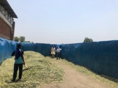 Preparation of Silage Bunker