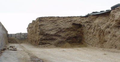 Exposed surface of the silage leads to second fermentation