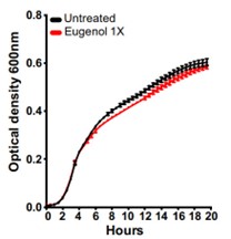 almost identical growth of C. rodentium