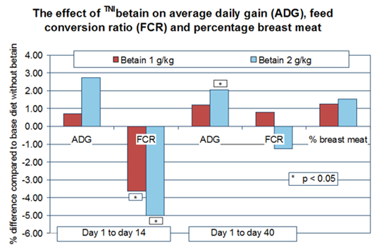 Effect of betaine on broiler performance