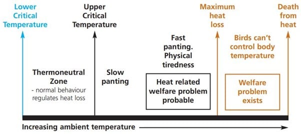 Diagram of Thermoneutral Zone