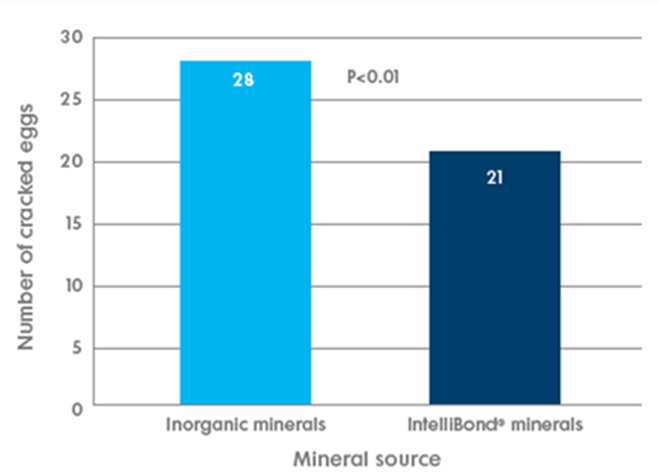 Effect of Intellibonds on eggshell quality parameters