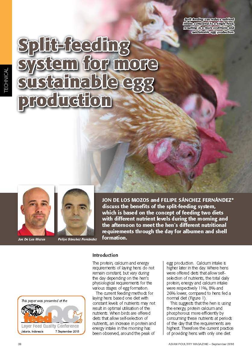 Poultry image