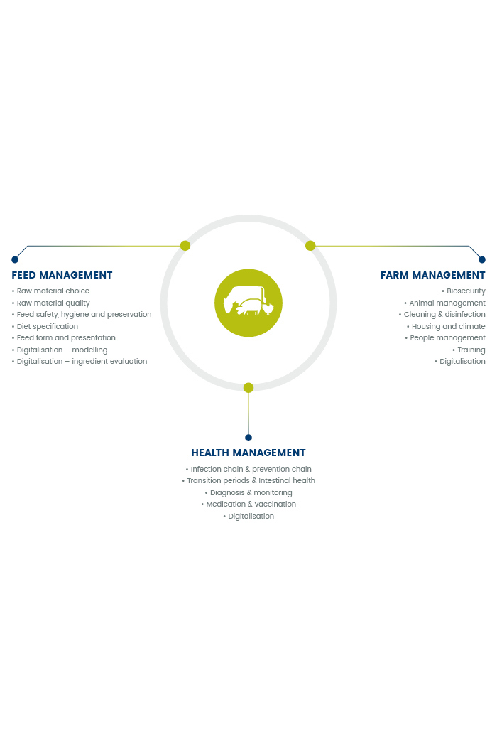 Representation of feed farm health