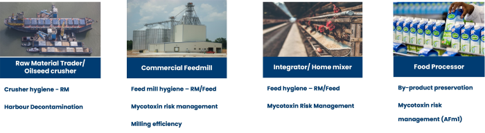 Feed Safety across the value chain