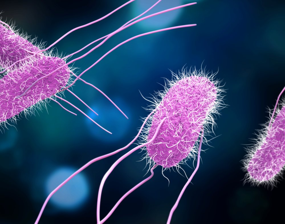 Salmonella control