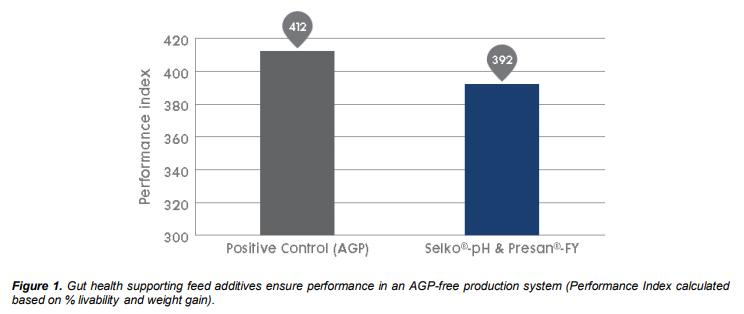 Gut health performance graph 