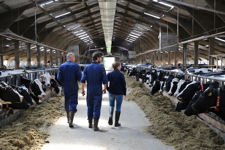 Good management practices for dairy farming