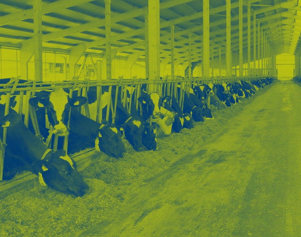 our LifeStart platform Trouw Nutrition India