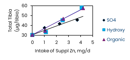 the tibia recovery of zinc