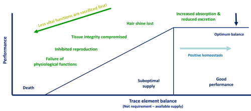 Trace Mineral Deficiency and Animal Performance