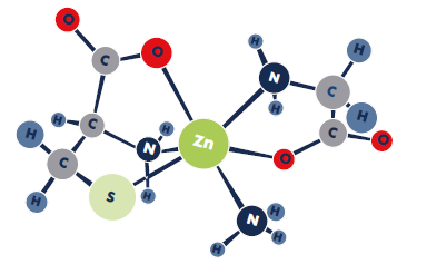 Chemical structure of organic trace minerals