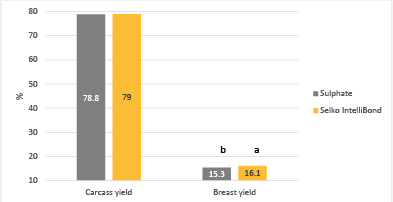 Carcass and breast meat yield of broilers