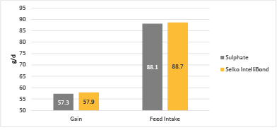  Daily feed growth (left) and daily feed intake