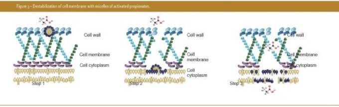 Activated propionates