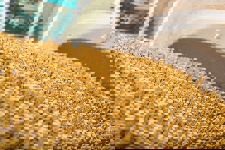 Feed Mill Safety