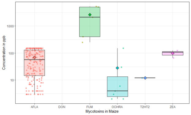 Mycotoxin contamination Distribution in Maize