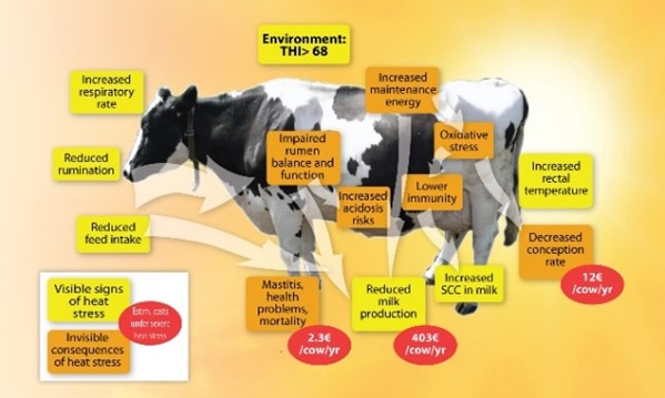 Impact of heat stress on animal performance