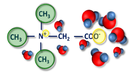 Heat stress in poultry