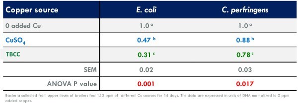 sources of copper on ileal microbial counts