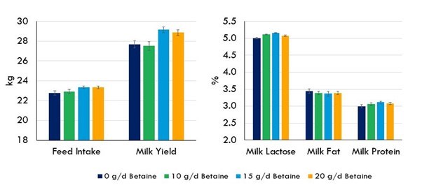Effect of Betaine in Dairy Cows during Heat Stress    
