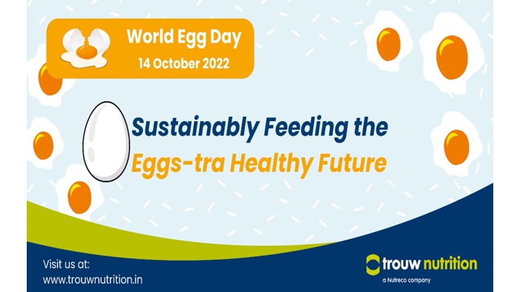 India's contribution of Egg production to the world