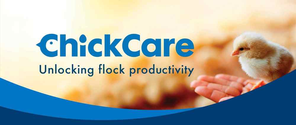 ChickCare
