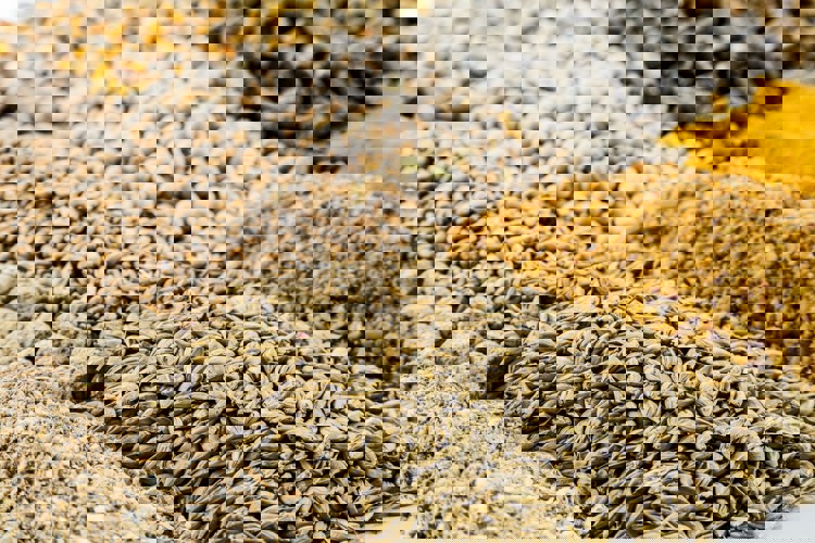 multi cereals grains mix for preparing animal feed