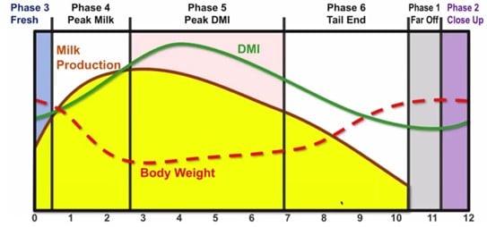 Correlation of DMI & milk production