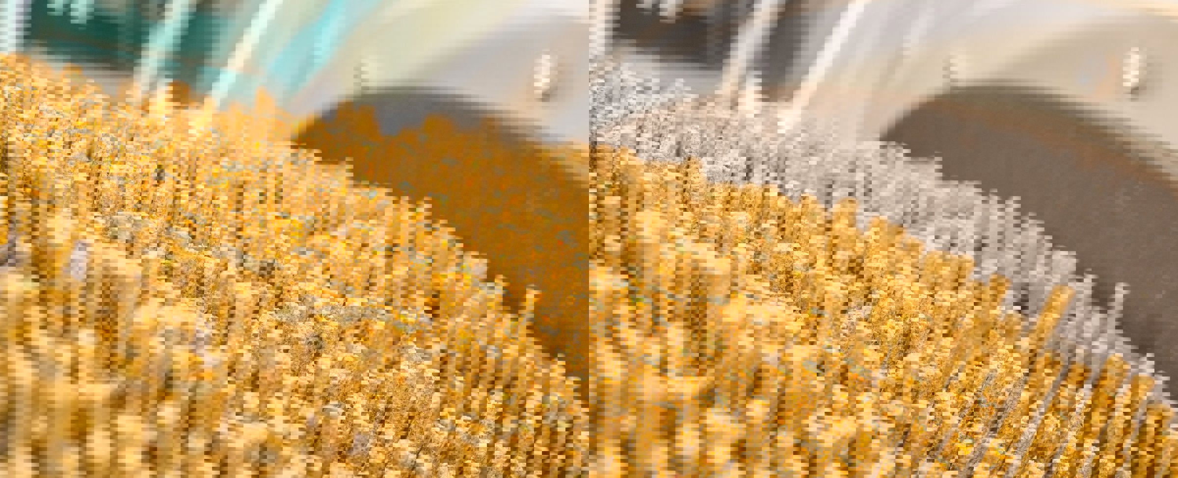 Process Moisture Management