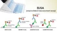 ELISA