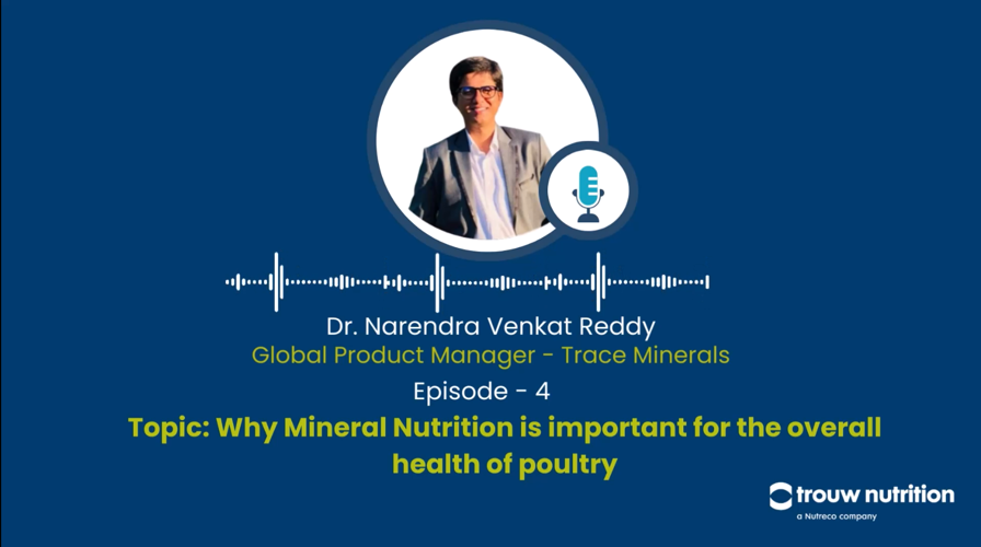 Mineral Nutrition for poultry health podcast