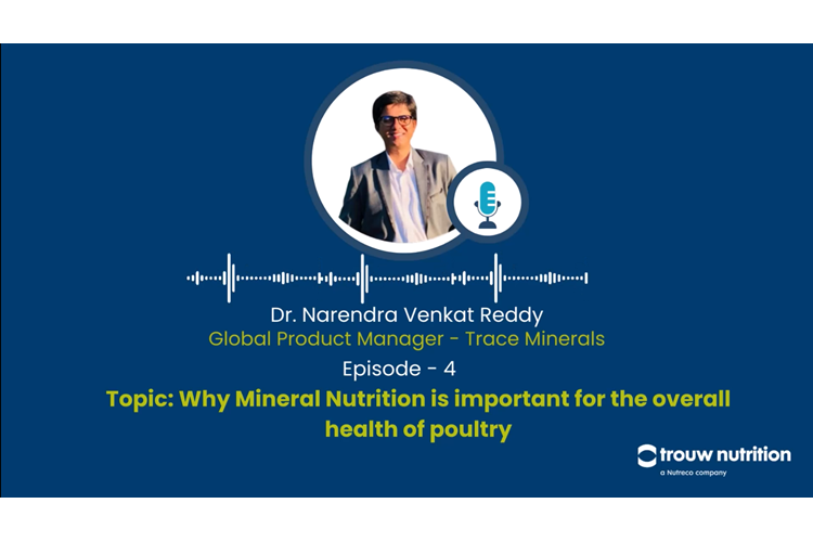 Mineral Nutrition for poultry health podcast