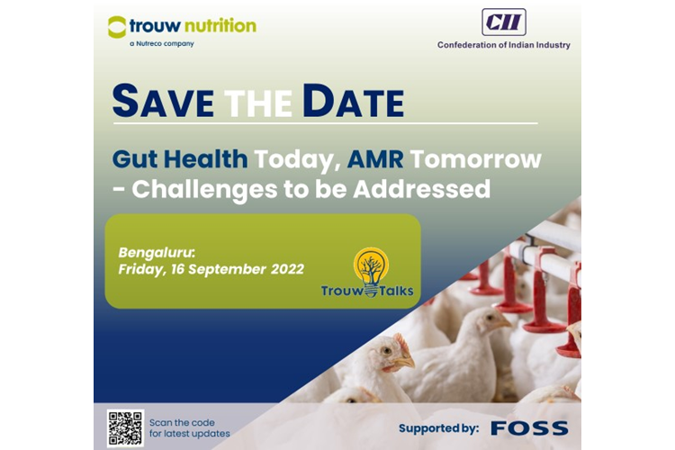 Trouw Talks event discussion on gut health in animal nutrition