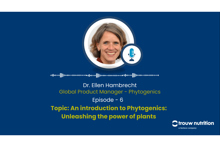 An introduction to Phytogenics: Unleashing the power of plants