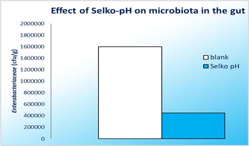 Selko pH on gram negative bacteria