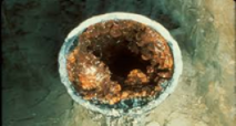 Biofilms clogging the pipeline 
