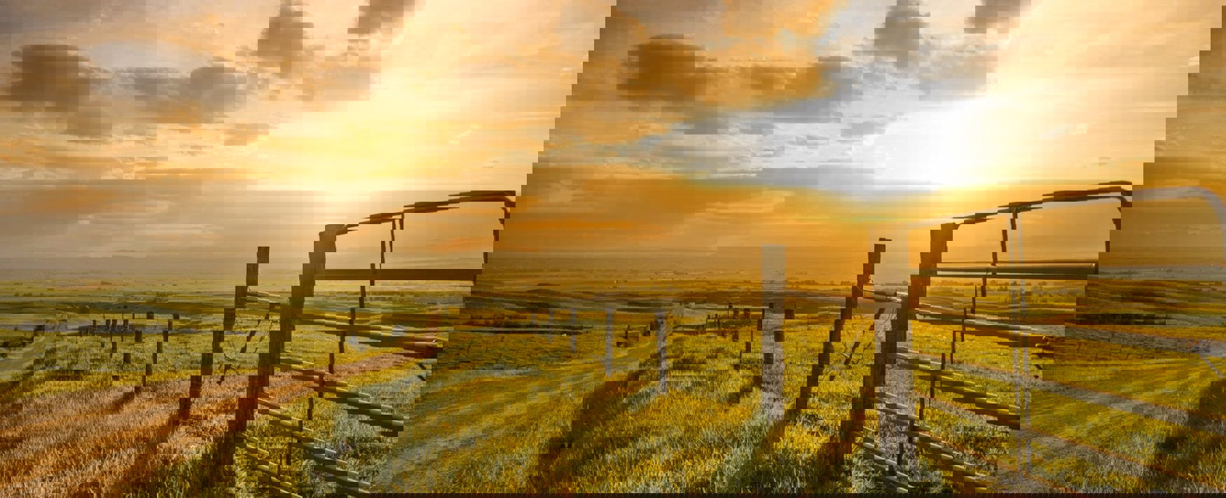 Farm prospered essay 06 picture