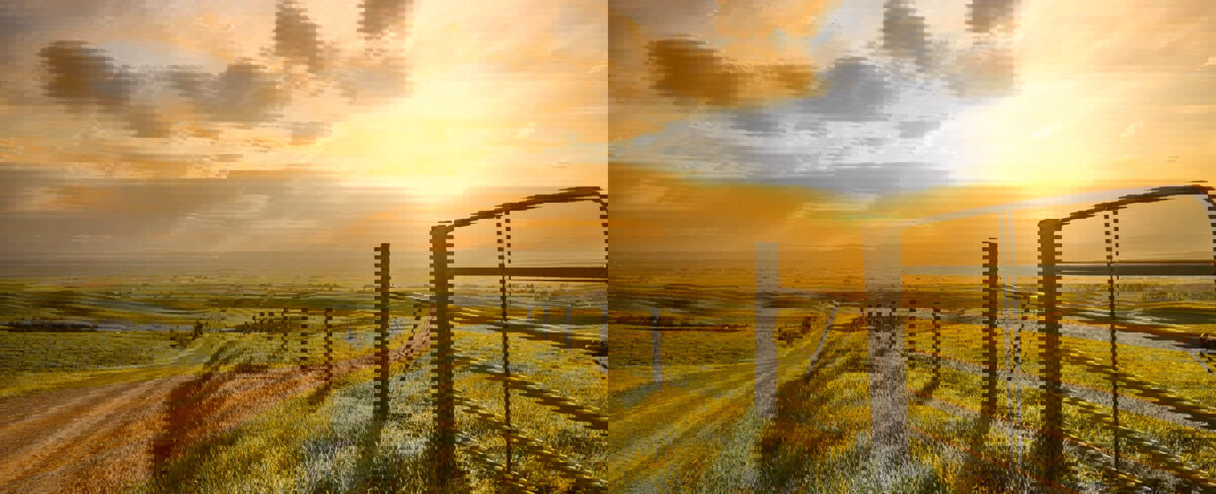 Field with sunset