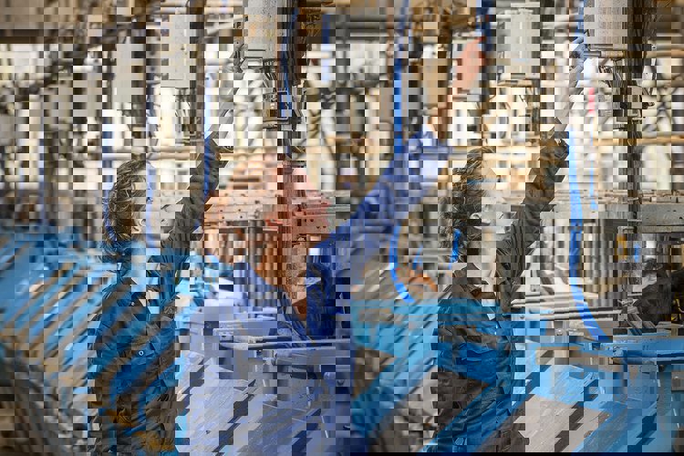 A woman checking the feed technology
