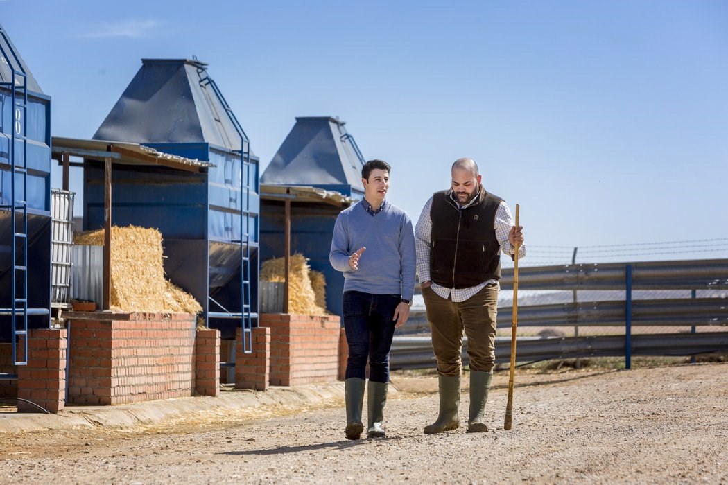 feed plant facility planning is important